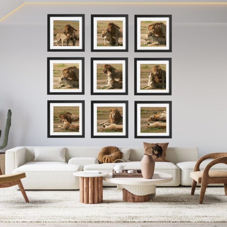 Sala con fotos de leones apareandose