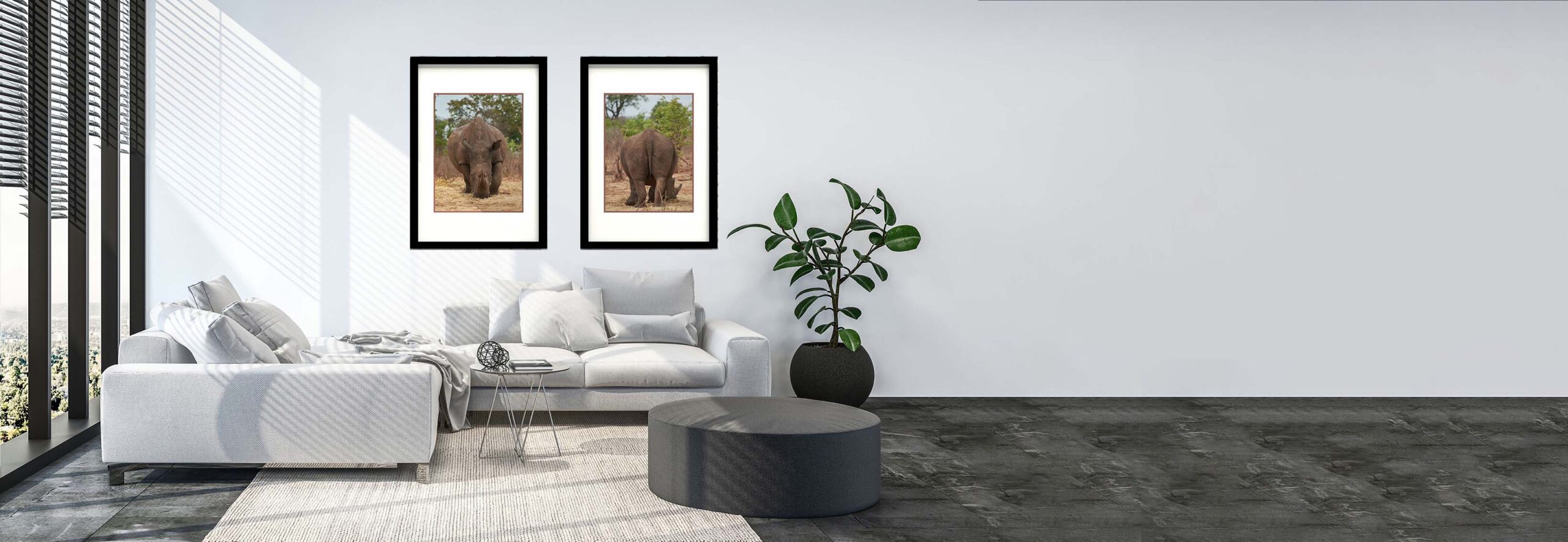 Una sala color blanca con dos cuadros con rinocerontes