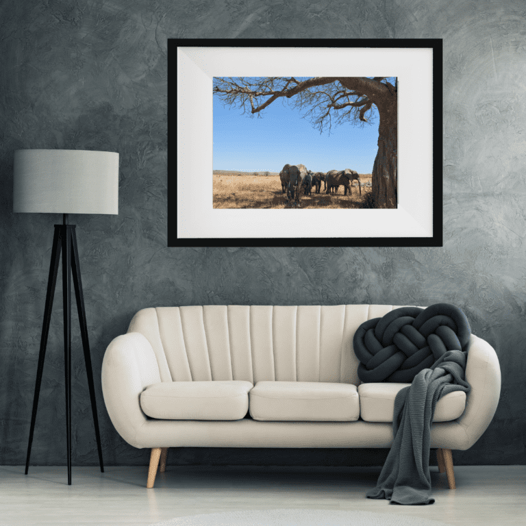 Estancia con foto de Elefantes bajo un árbol