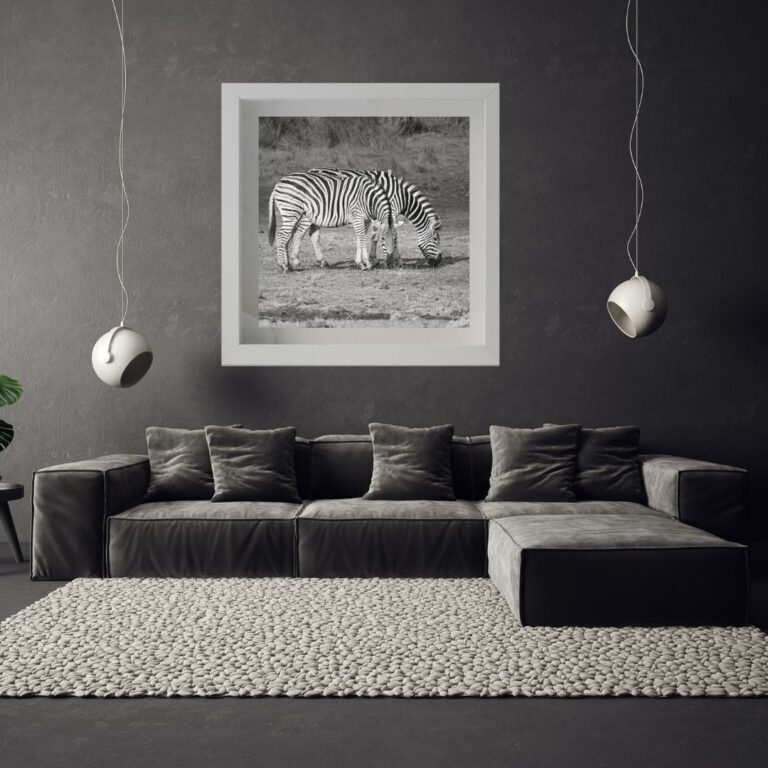 Ideas para Decorar foto de una cebra en blanco y negro