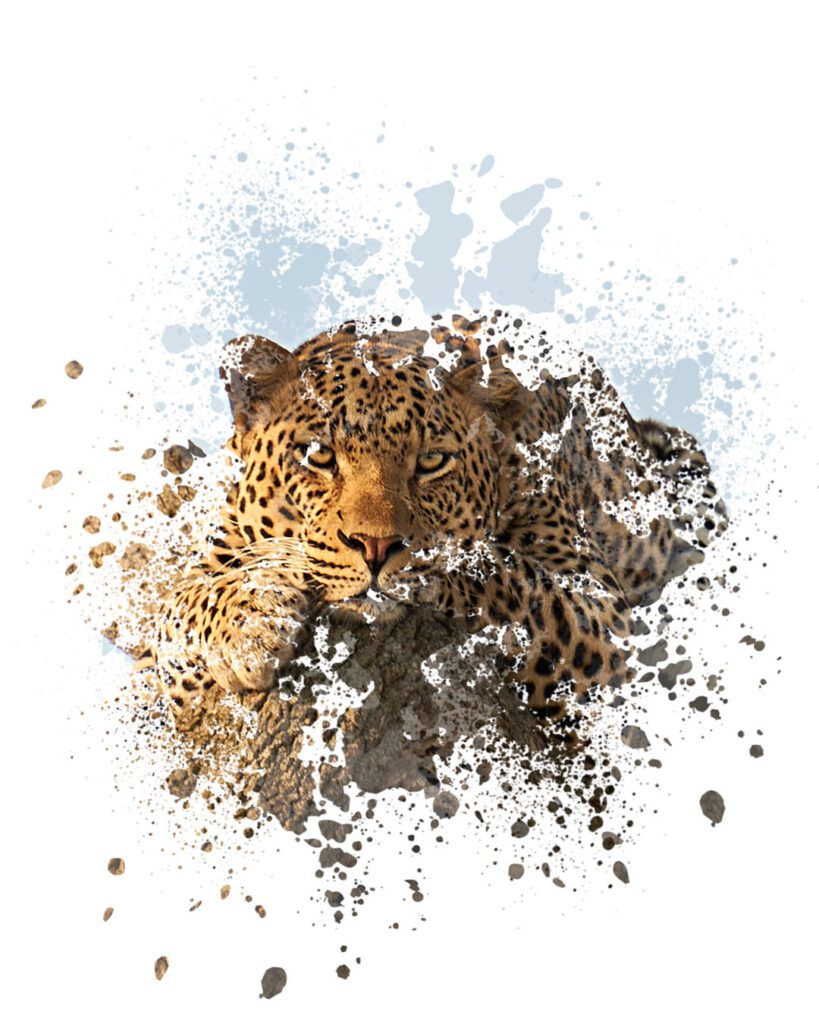 Fotografía Artística de un leopardo sentado en una rama